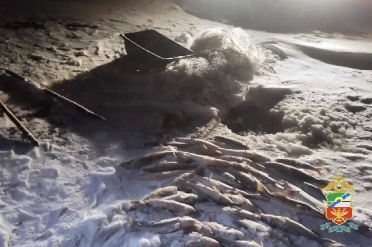    Рыбака-браконьера с ущербом на 100 тысяч задержали под Новосибирском