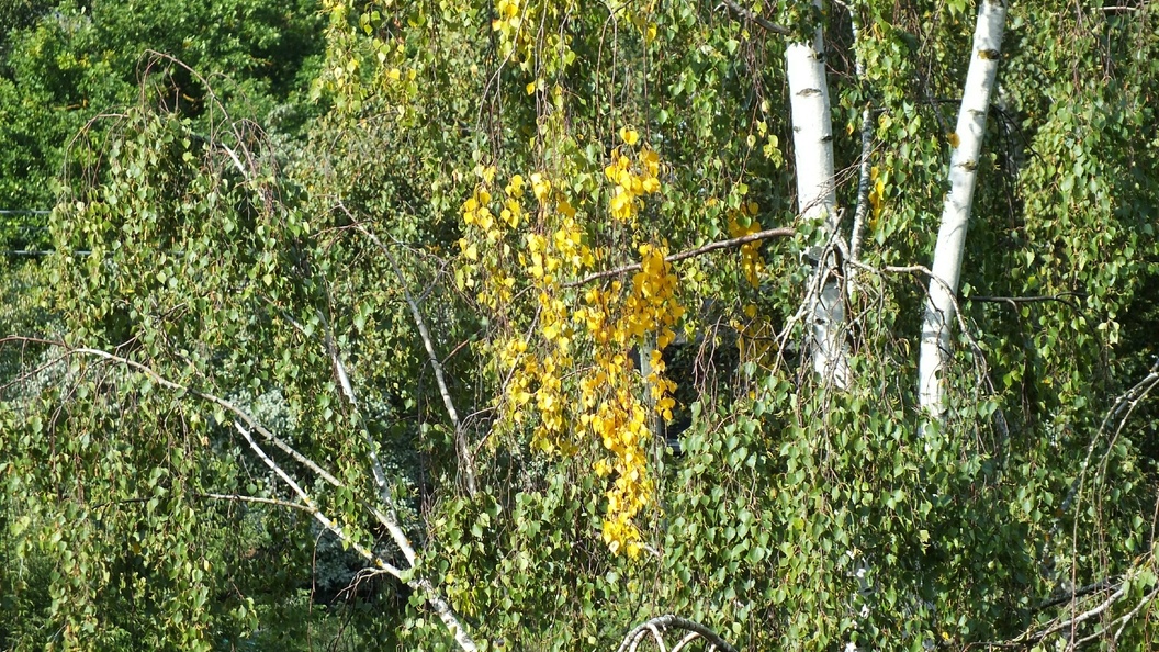    Victor Lisitsyn/Globallookpress