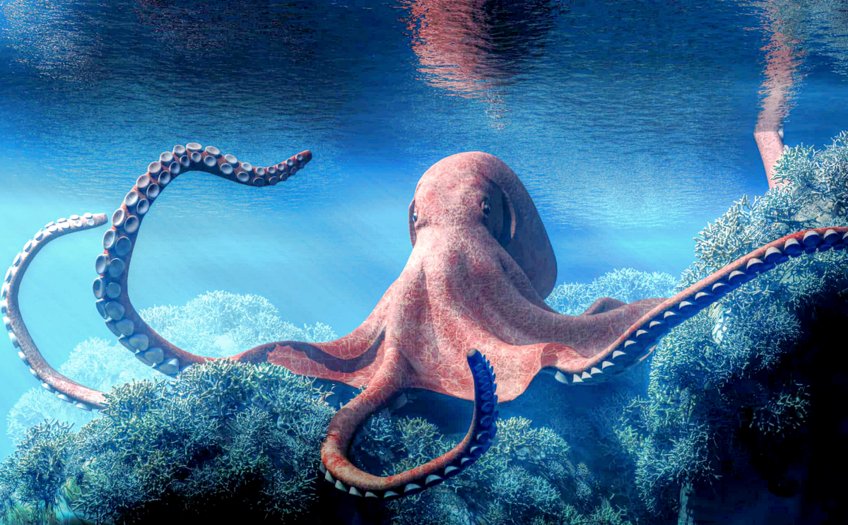 Копия щупальца ничем не будет отличаться от прежнего оригинала: такой же мозг, те же присоски. Иллюстрация: animals.com