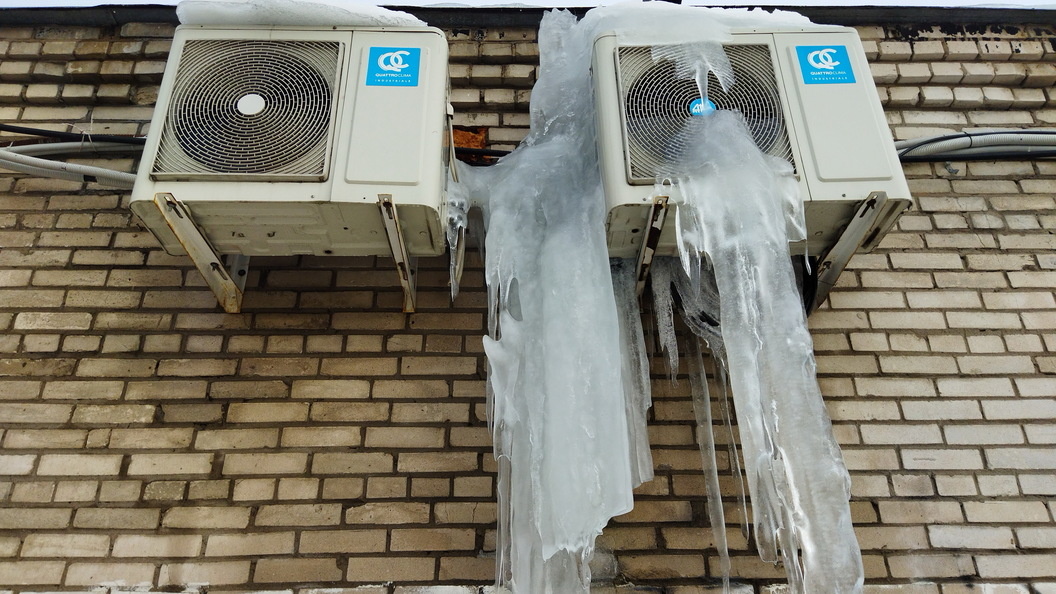    фото: Zamir Usmanov/Globallookpress