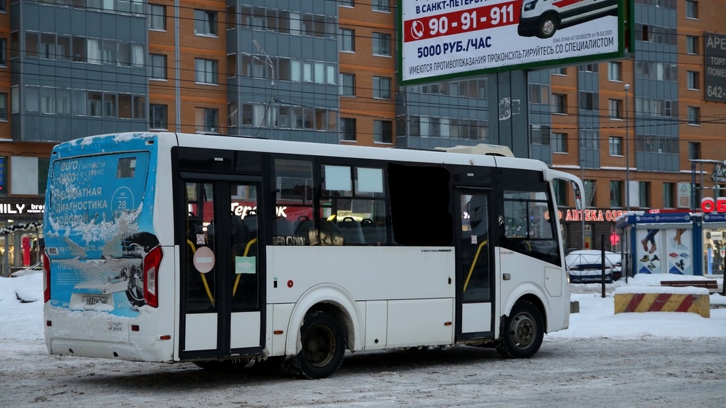    Фото: Максим Константинов/Globallookpress.