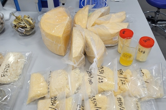    Фото: Фото автора