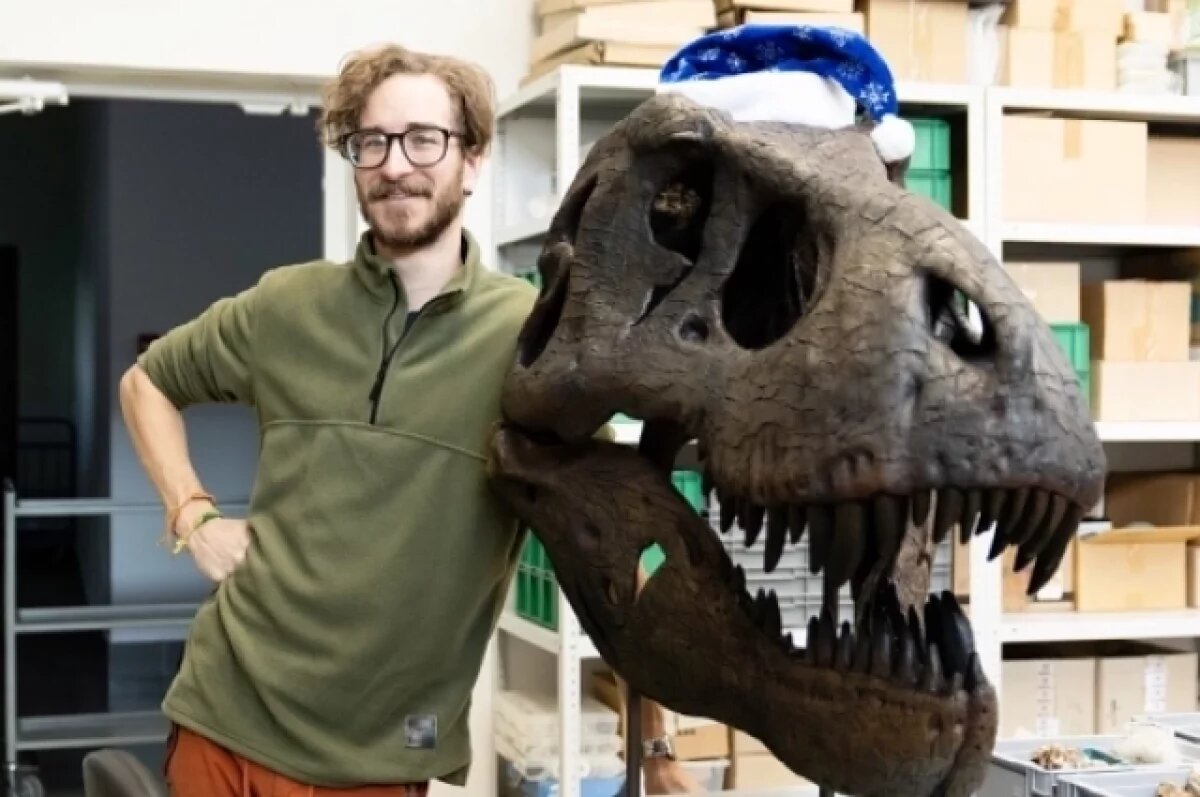    Череп тираннозавра рекса привезли в Новосибирский госуниверситет