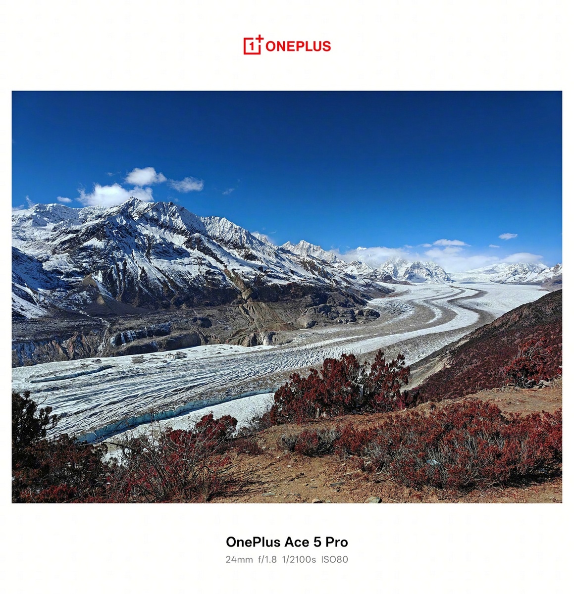 Фото OnePlus  📷
