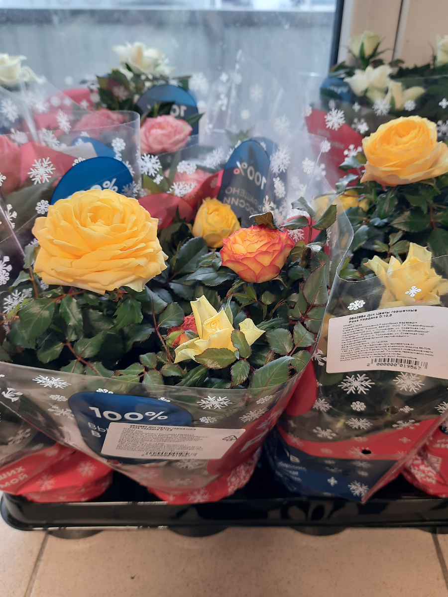 В  "Пятёрочке "