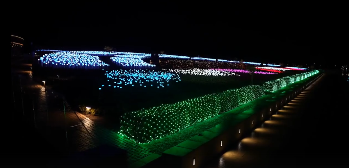 Фото: скриншот из видеоролика