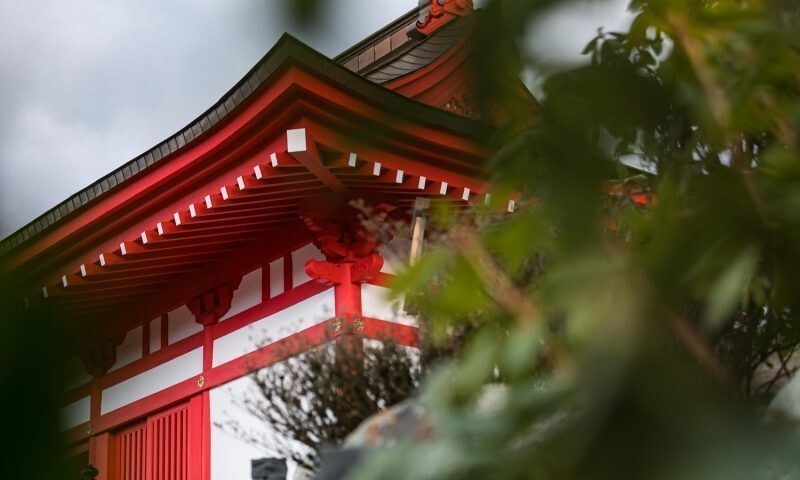    Фото Евгения Резника, «Кубань 24»