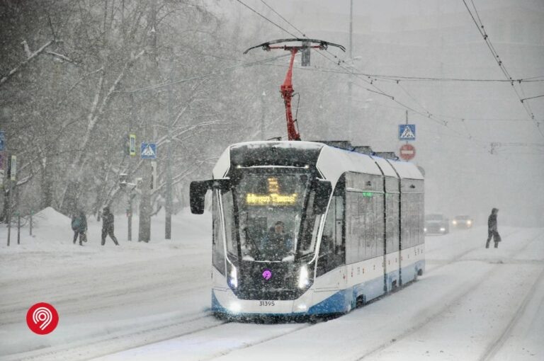    Фото: t.me/DtRoad Анфиса Слепцова