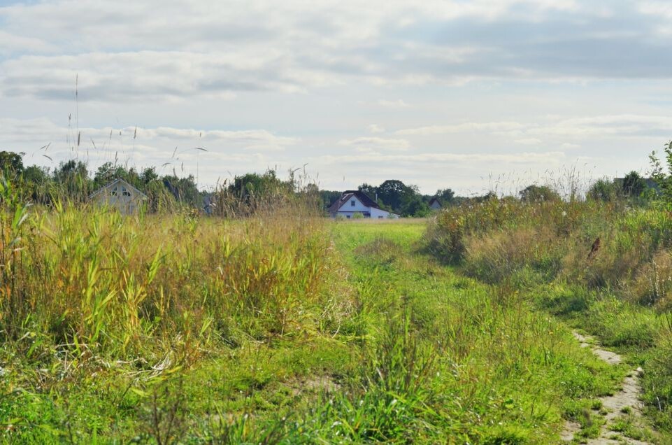    Земельный участок, деревня. Источник: unsplash.com