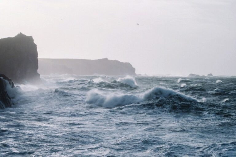    Фото: freepik.com/free-photo Анфиса Слепцова