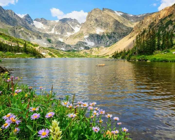 Яндекс картинки