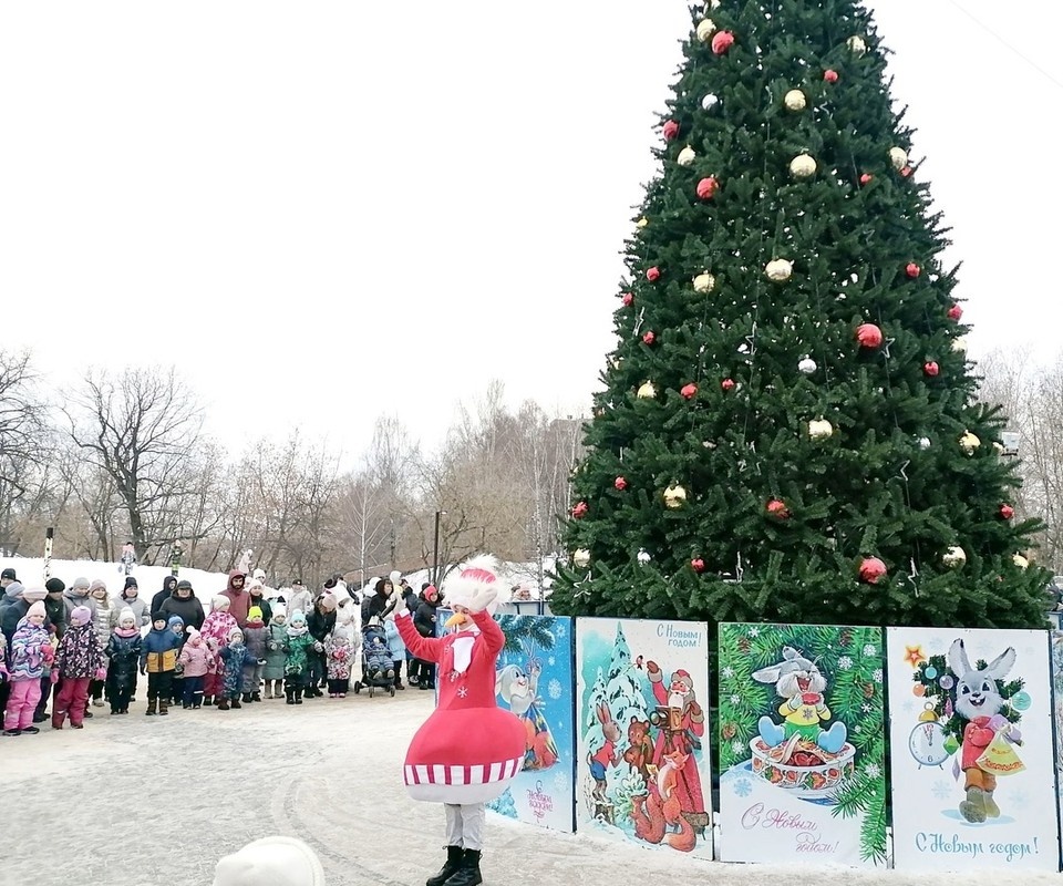    Фото: дирекция парков города Костромы