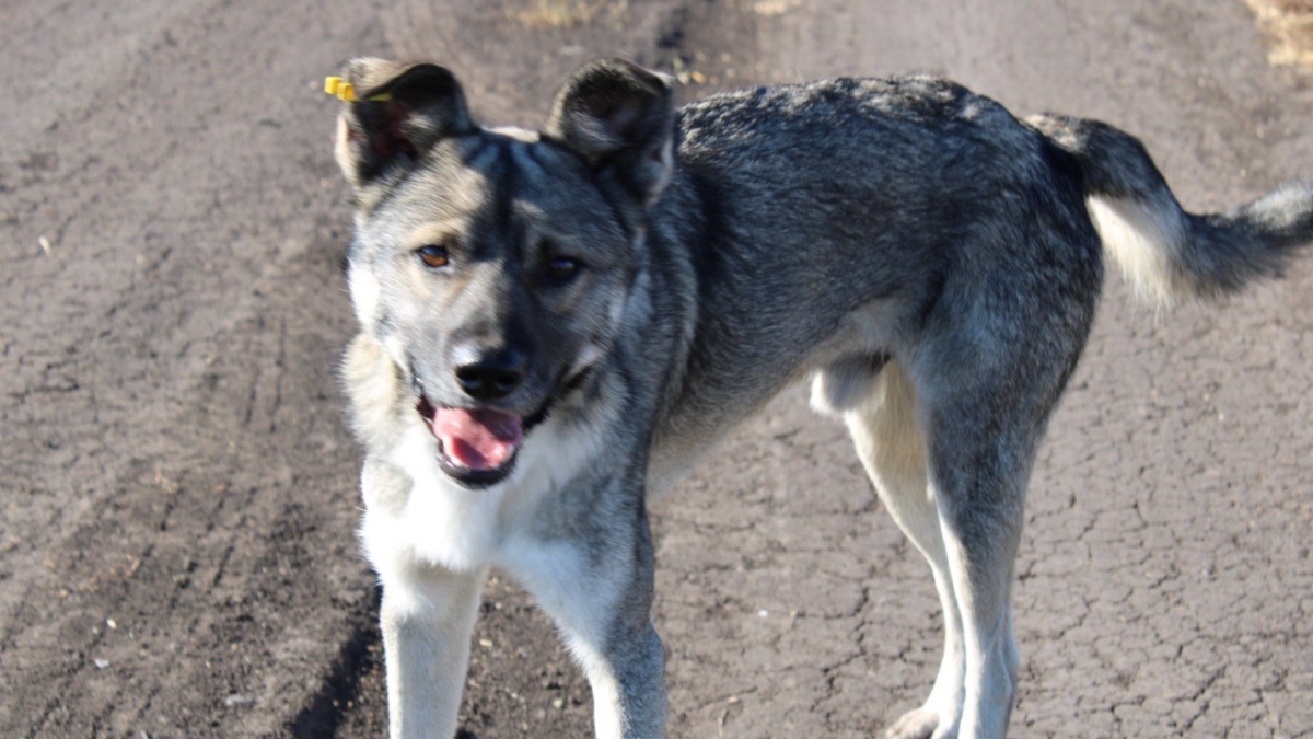 ИА SM-News Тюмень📷
