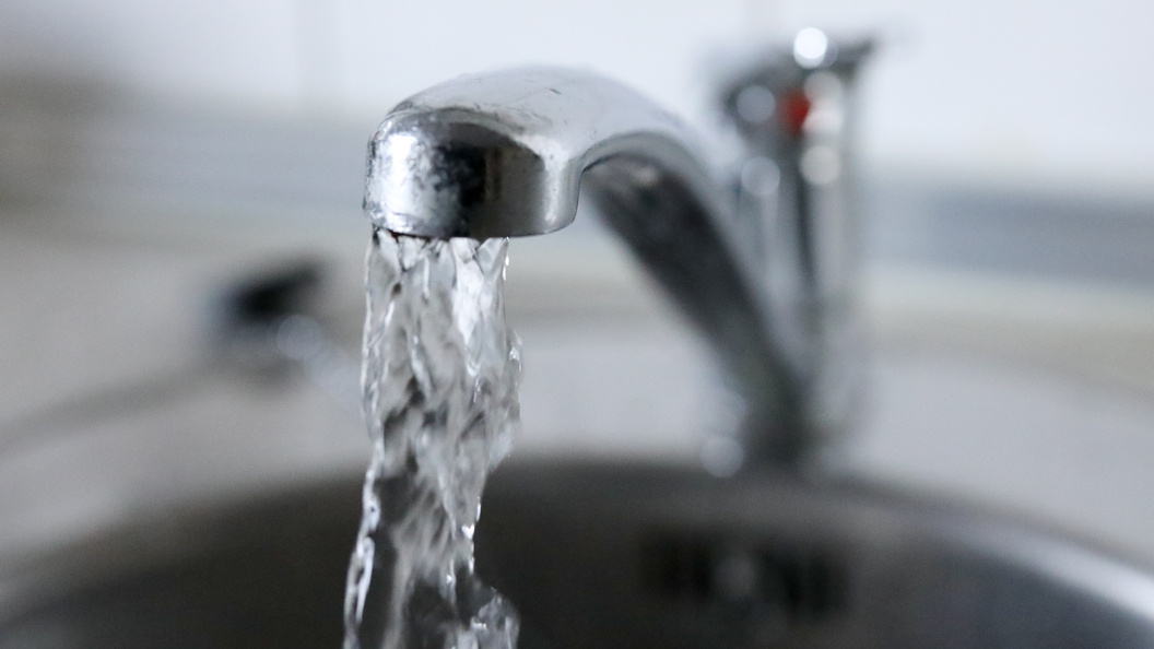    Фото: Pogiba Alexandra/news.ru/Globallookpress