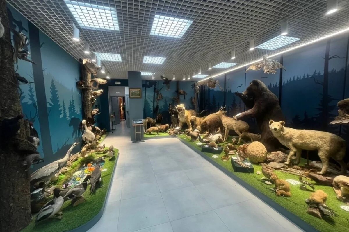    Подрядчик едва не оставил район Хабаровского края без музея