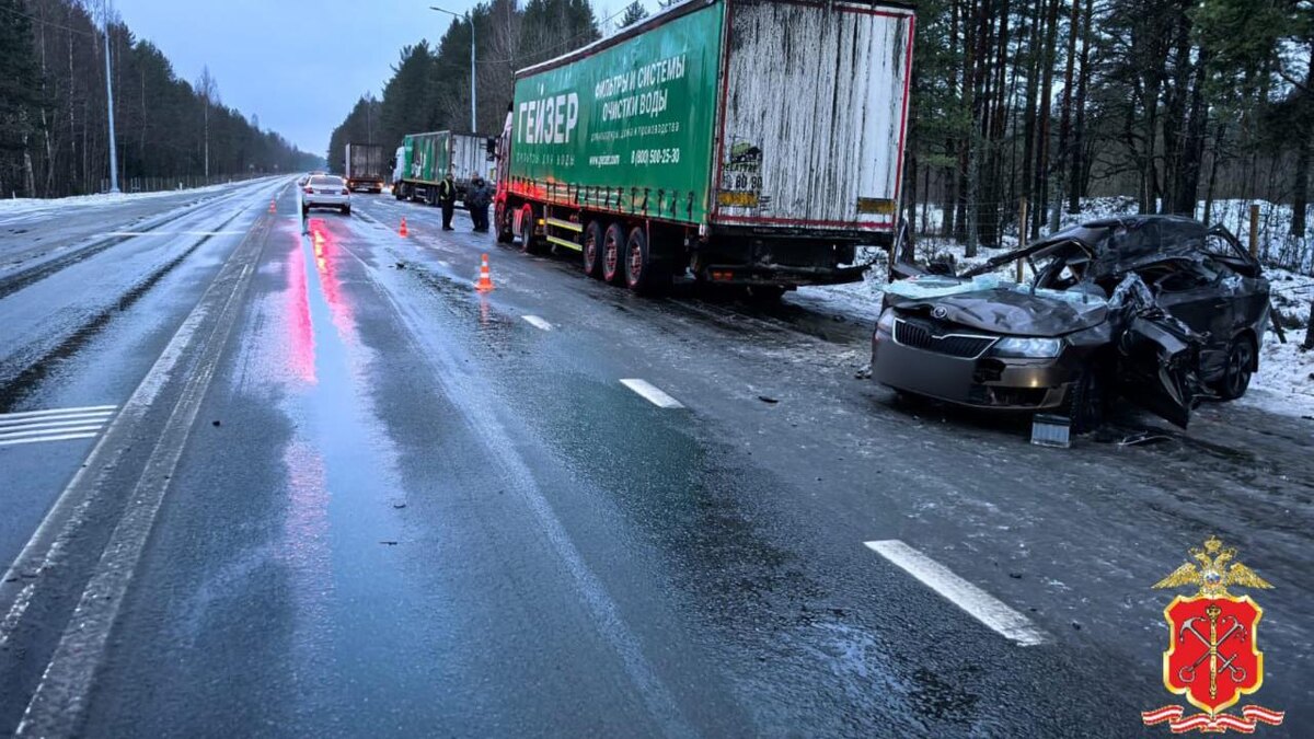    Фото: t.me/spb_police78