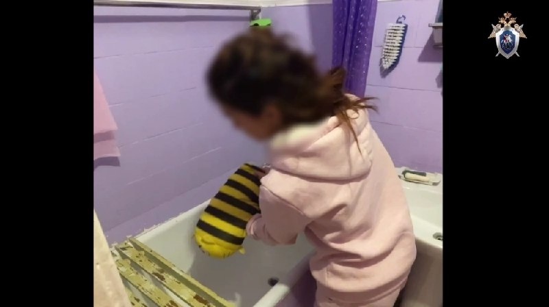  Фото: ГСУ СК РФ по Петербургу