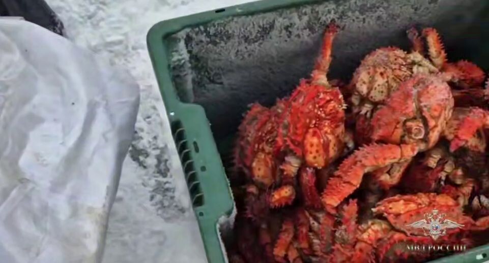    Пресс-служба МВД