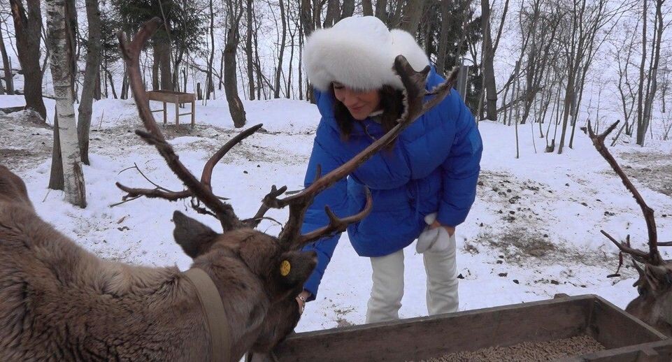     Пресс-служба администрации Дмитровского городского округа