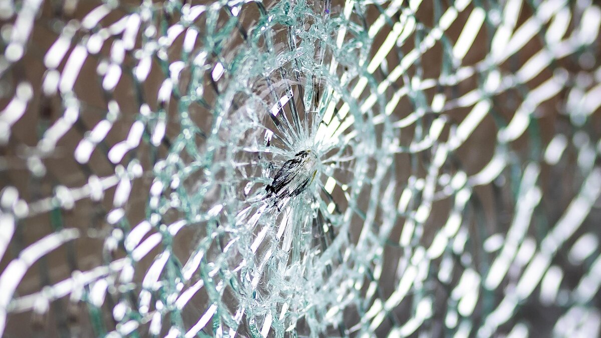    Фото: Moritz Frankenberg/globallookpress.com