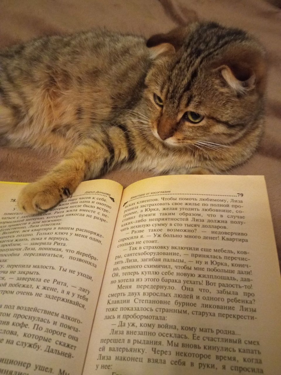 Мой ТГ канал https://t.me/+_IebXoUtgtQ2YWJi