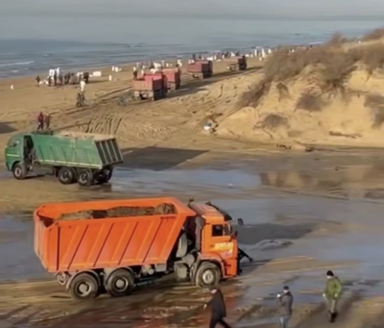    Фото: пресс-служба администрации Краснодарского края