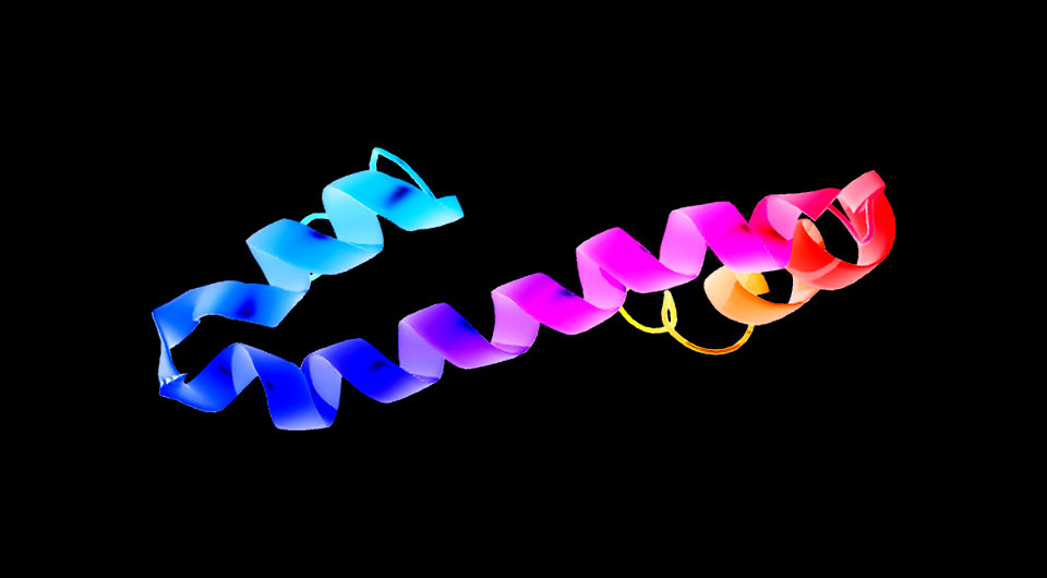   Emw / Wikimedia Commons / CC-BY-SA-3.0
