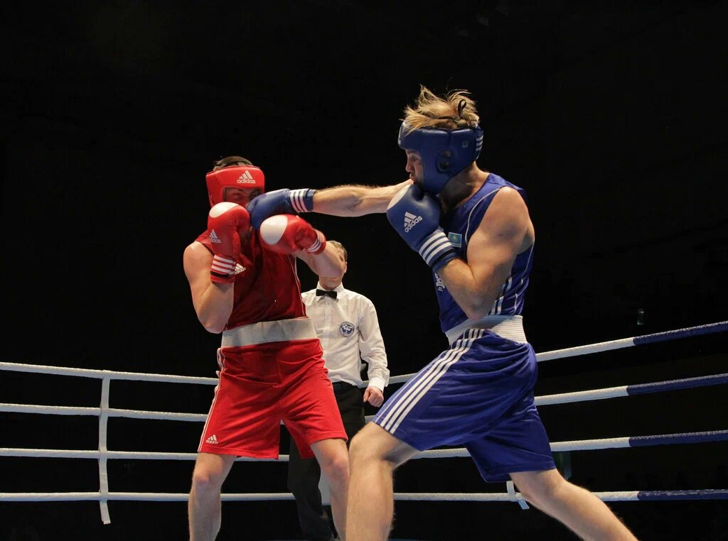 Фото: открытый источник