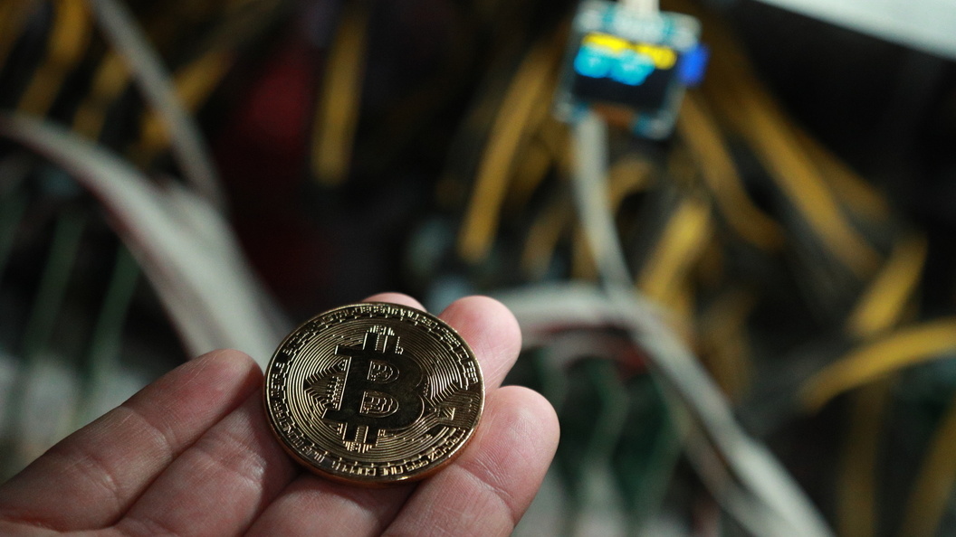    Фото: Bulkin Sergey/news.ru/Globallookpress