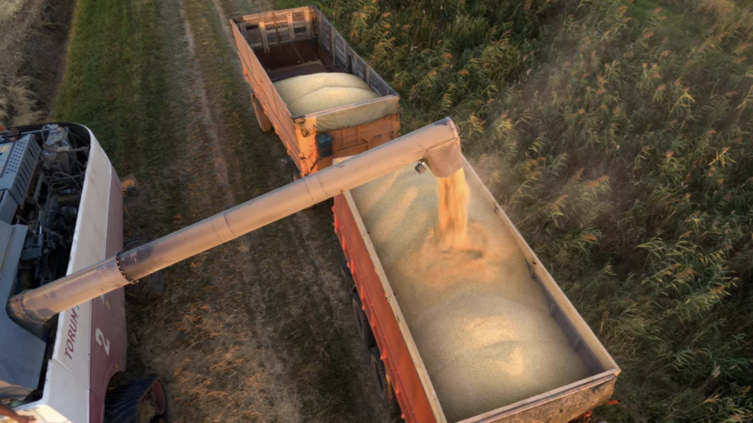   РИА Новости