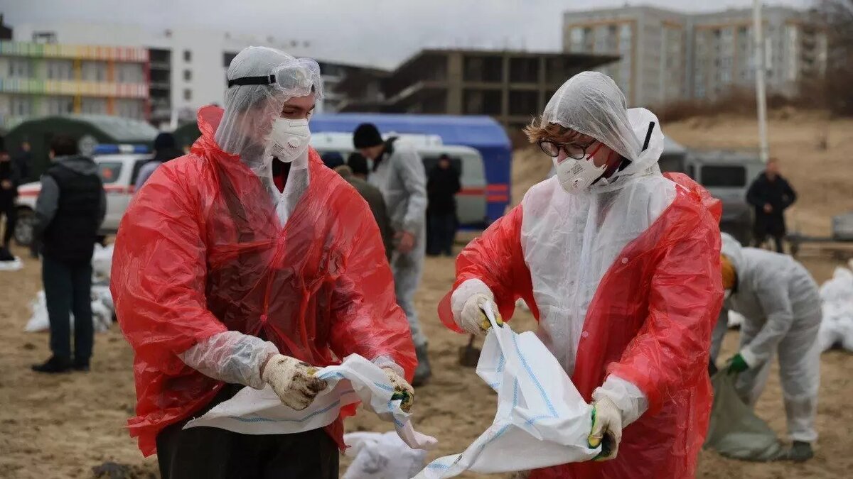     Автор: Оперштаб Кубани