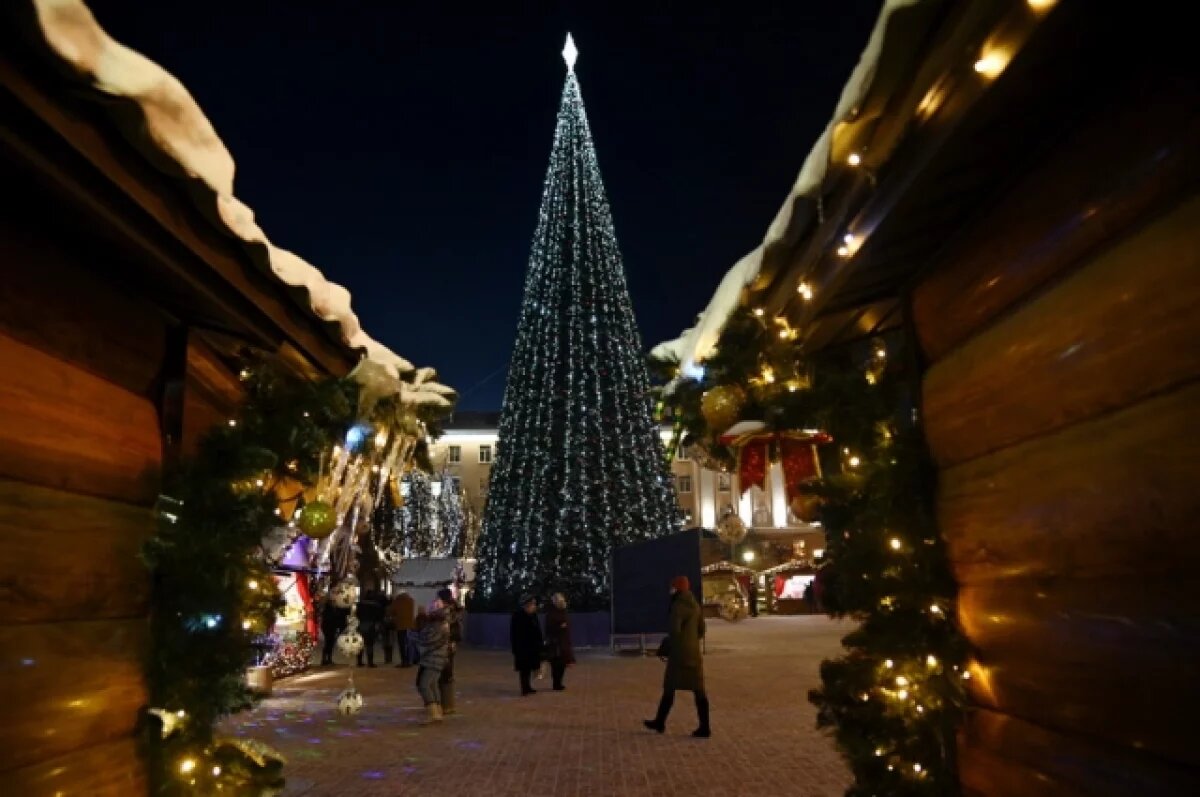    Главные новогодние события с планерки у городского главы Калуги