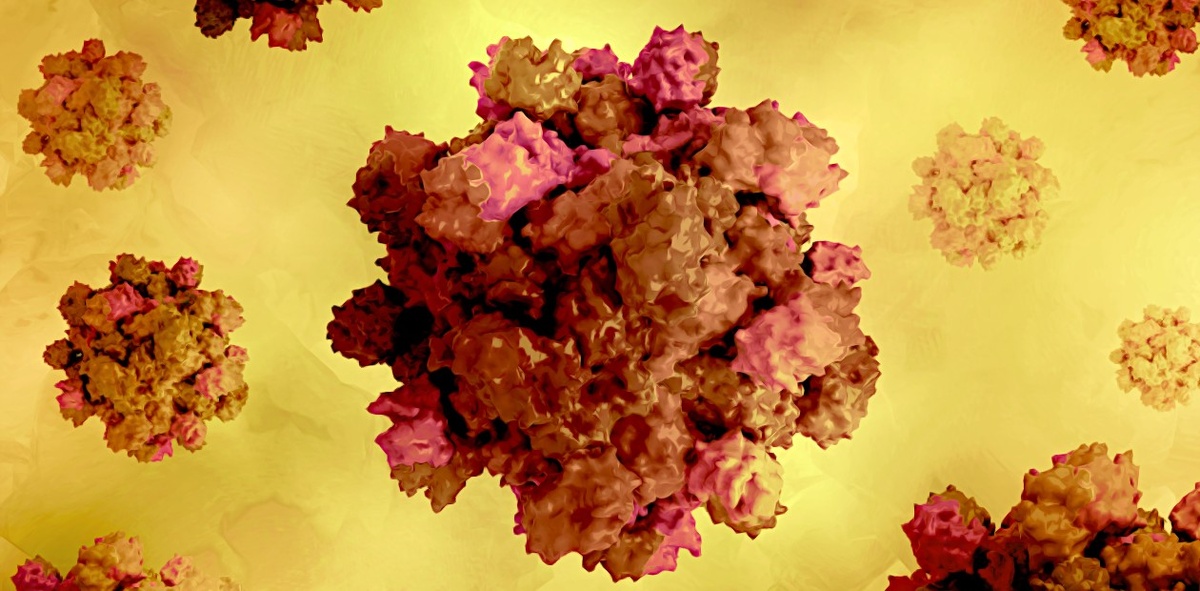 Вирус гепатита Е, 3D-макет. © CC BY 2.0/NIAID 