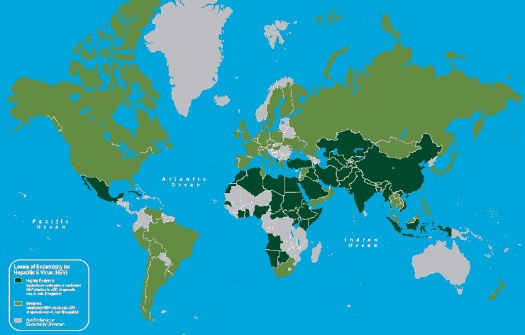 Гепатит Е встречается во всем мире, но наиболее широко распространен в странах Азии и Африки. © CC BY-SA 3.0/CDC