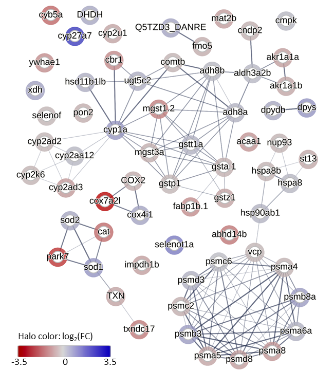 Схема известных связей между белками печени, количество которых изменилось после воздействия глифосата и аминометилфосфоновой кислоты. Источник: Алексей Морозов