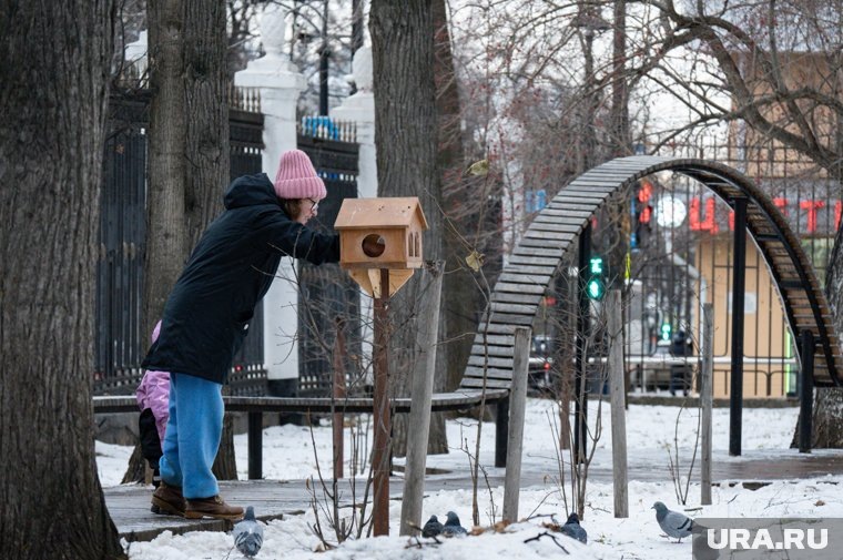 В Тамбовской области выплаты беременным студенткам будут финансированы из федерального и областного бюджетов
Фото: Руслан Яроцкий © URA.RU