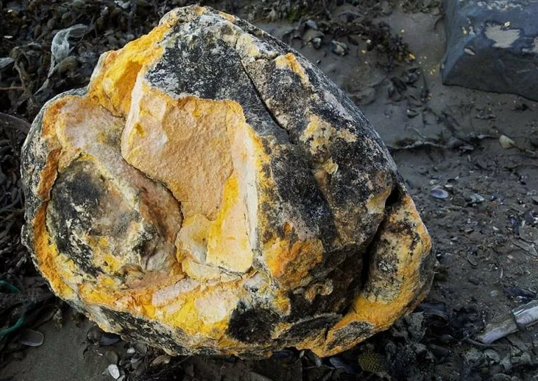 Так выглядит натуральная амбра, выброшенная на берег.