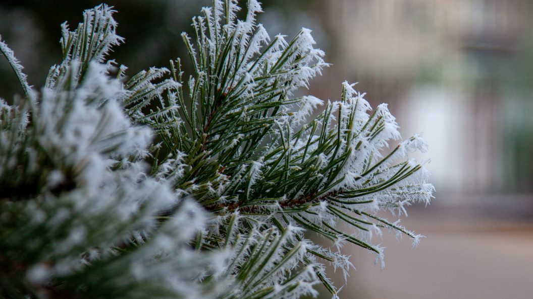    Oksana Korol/Business Online/Globallookpress