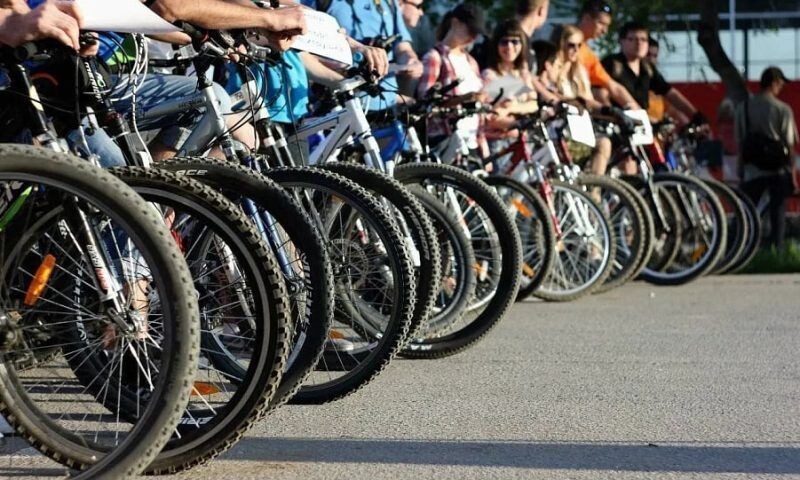    Фото пресс-службы администрации Краснодарского края