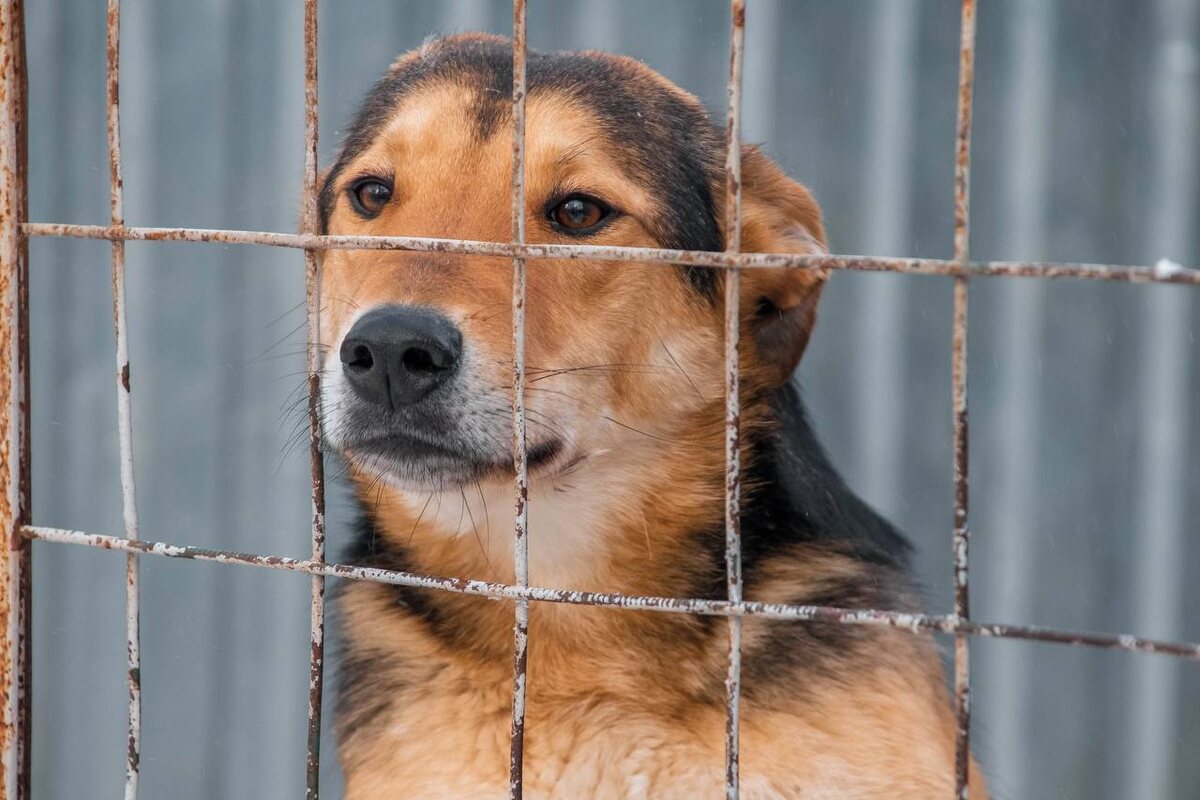 Марк ищет любящую семью 🧡