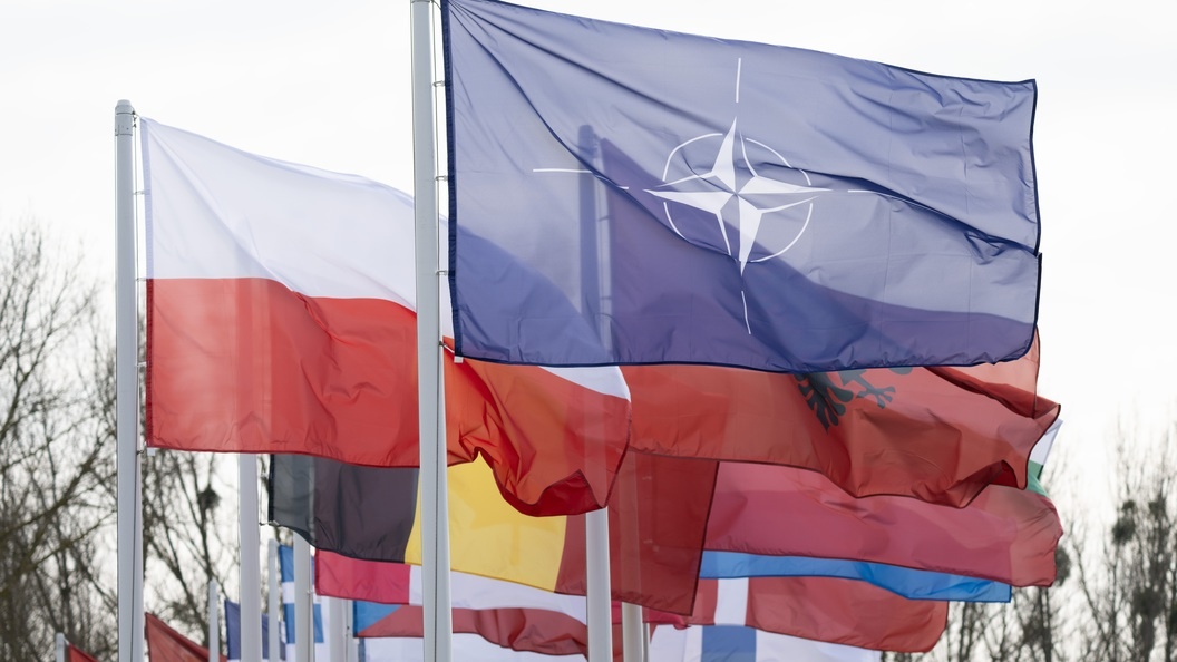    фото: Sebastian Kahnert/dpa/Globallookpress