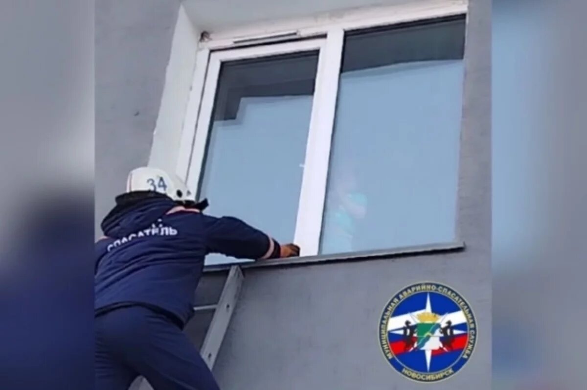    Двое маленьких детей чуть не выпали из окна дома в Новосибирске