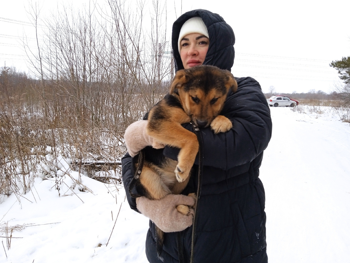 Маленькая любимка всех волонтёров.