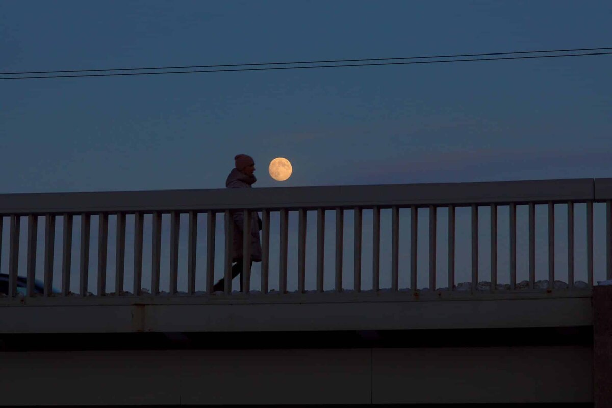    Фото: Николай Молодцов