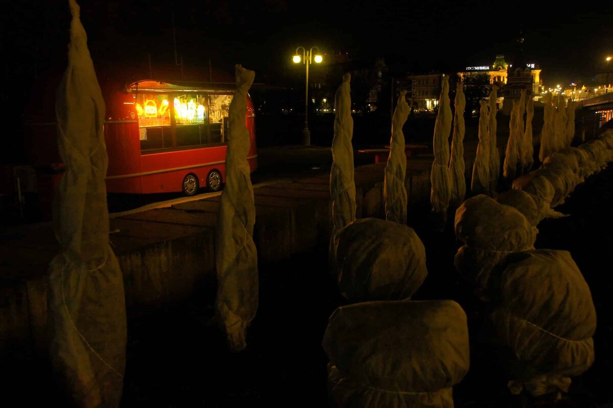    Фото: Николай Молодцов