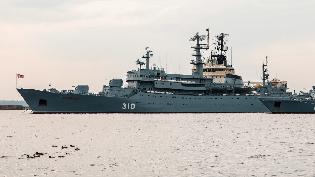    Roman Naumov/Globallookpress