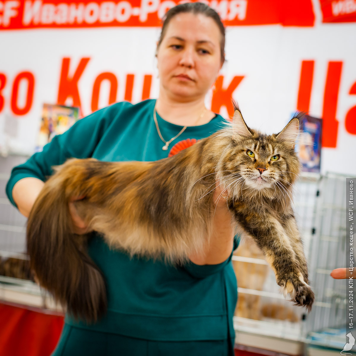 На фото наша Илана со стюардом на выставке в Иваново, ноябрь 2024