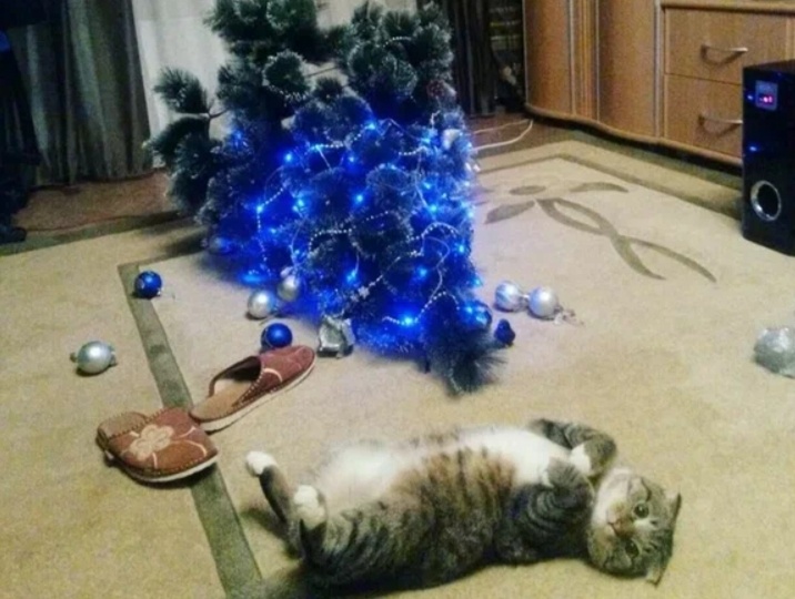 Поднимай меня скорей и теплом любви согрей