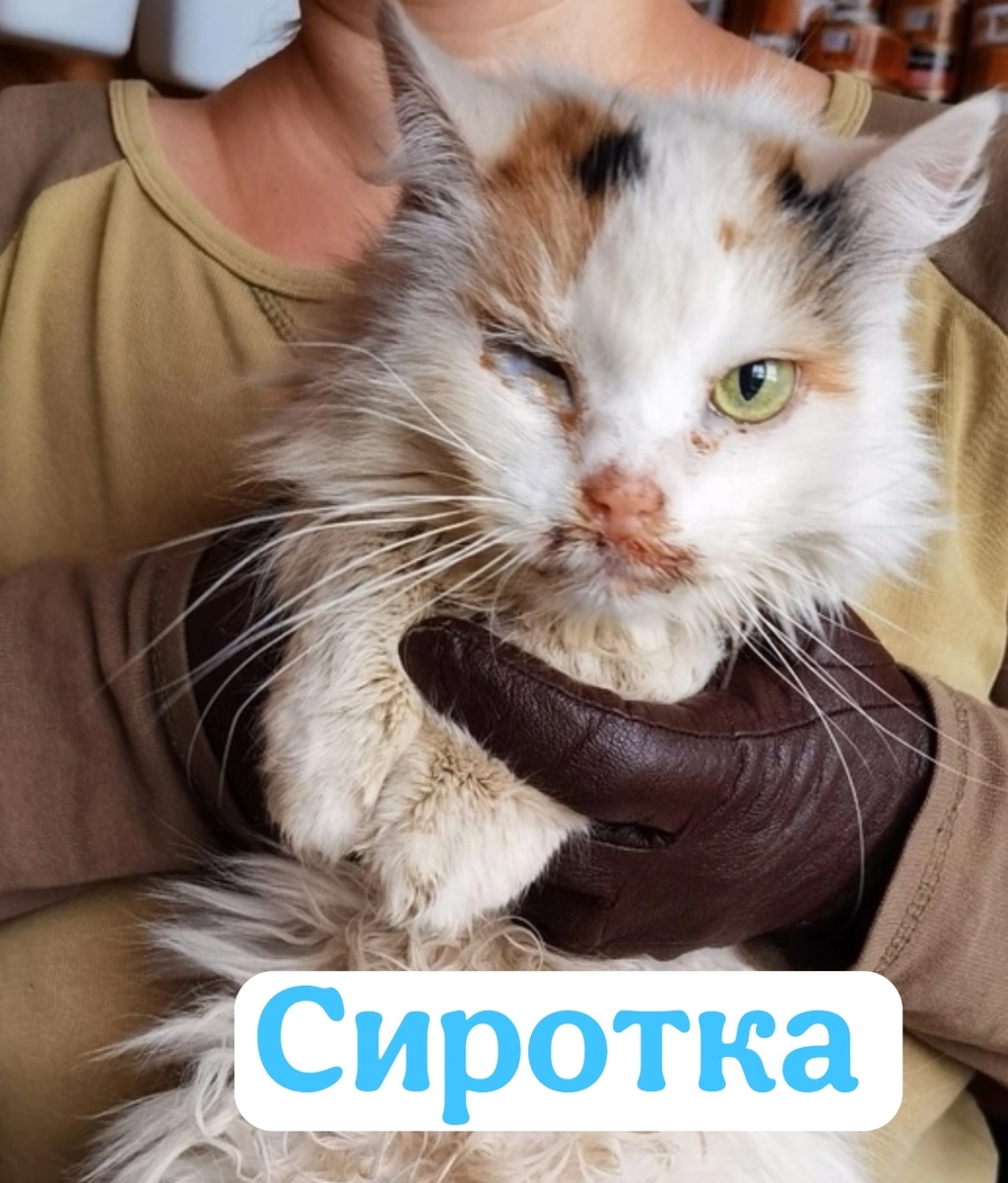 Глаз видеть не будет