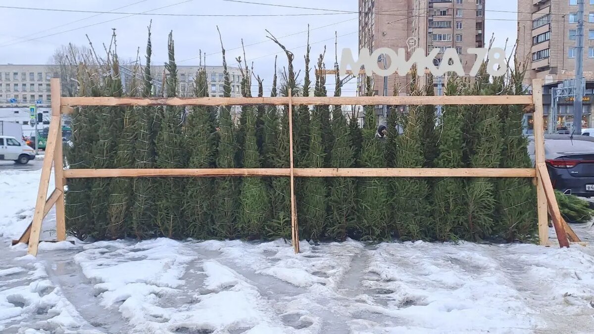 Фото: Мойка78.